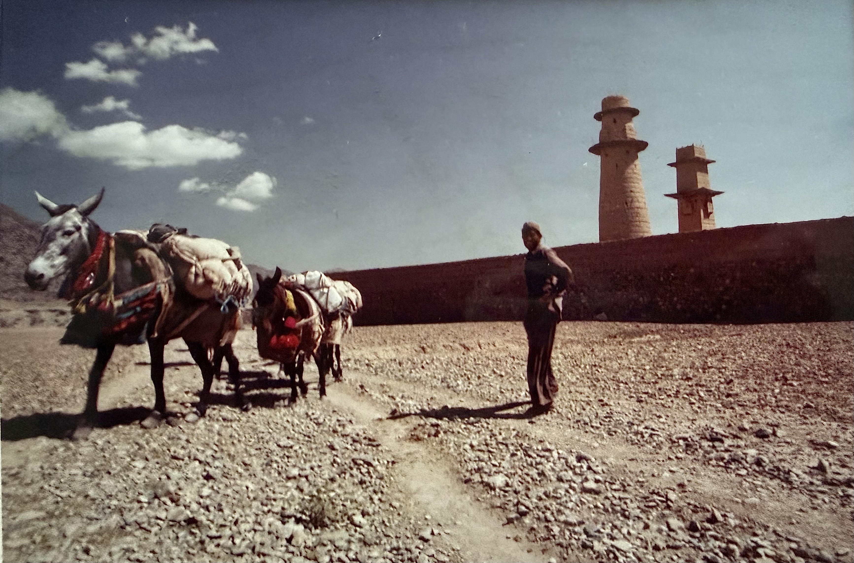 Mule train passing ruined minarets, Afghanistan